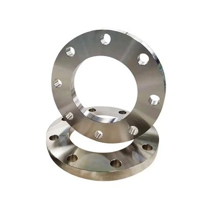 Flange de aço para encaixe de tubo SS316 / 316L